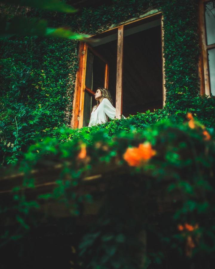 Lush Atitlan Otel San Marcos La Laguna Dış mekan fotoğraf